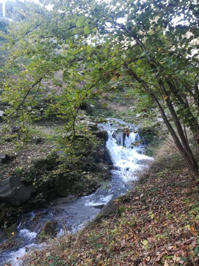 La Stella Delle Alpi Vico Canavese Exterior foto
